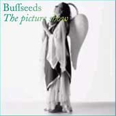 BUFFSEEDS The Picture Show