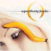 A PERFECT CIRCLE Thirteenth Step