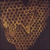 TELEFON TEL AVIV Map Of What Is Effortless