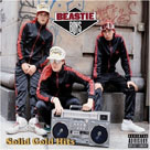 BEASTIE BOYS Solid Gold Hits