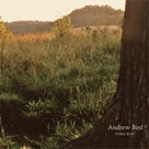 ANDREW BIRD Noble Beast