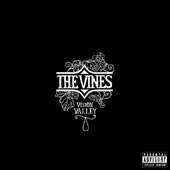 THE VINES Vision Valley